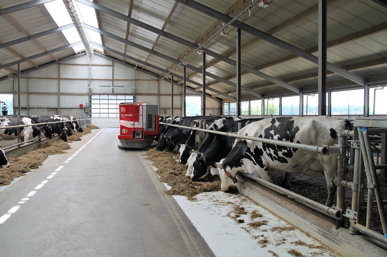 Usługi SebMilk